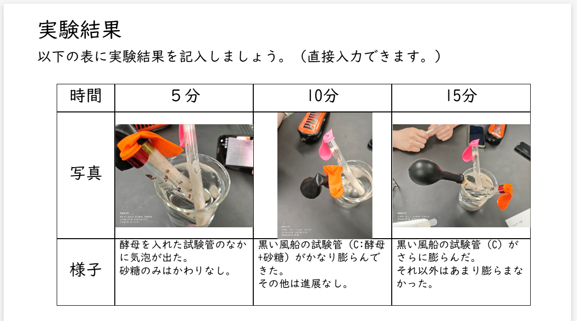 スクリーンショット (41)